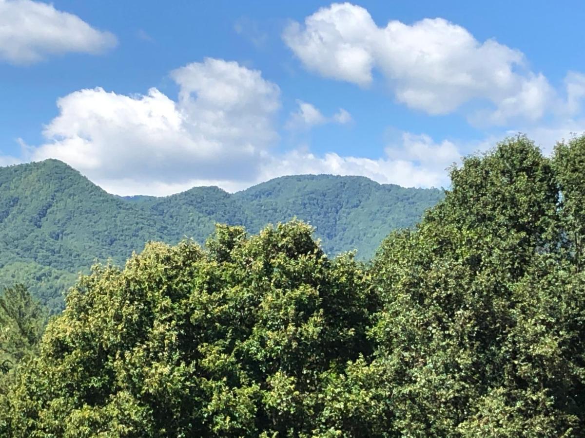 Cochran Farm House Bryson City Buitenkant foto